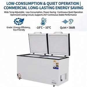 <span class=keywords><strong>Freezer</strong></span> Komersial Tahan Lama Berkualitas Tinggi untuk Penyimpanan Makanan dalam Jumlah Besar dan Pasokan Grosir Pasar - Product Image 3
