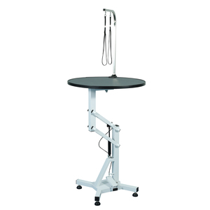 <span class=keywords><strong>Table</strong></span> de toilettage pour animaux de compagnie, électrique, éclairée par LED, réglable, écologique, durable, rotative à 360°, pour la coupe de poils de chien, <span class=keywords><strong>table</strong></span> d'examen réutilisable - Product Image 6