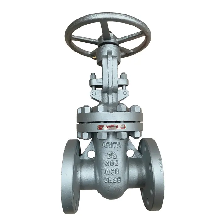 China Wholesaler Resilient Seated Cast Iron Flange Type Gate Valve Price