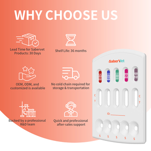 Kit de test combiné haute précision CHW Ag/EHR/ANA/BG/BC Ab pour la détection rapide des maladies transmises par les tiques chez le chien - Cassette de diagnostic vétérinaire - Product Image 4