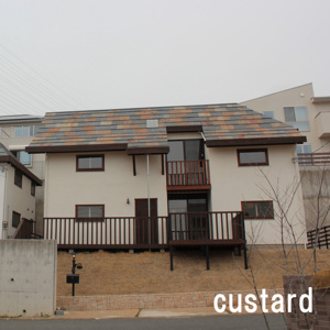 Bột màu cho vỏ thạch cao - Product Image 3