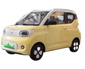 Wuling Miniev Kleine Auto Elektrische Auto Kleurrijke Ev Nieuwe Energie Auto