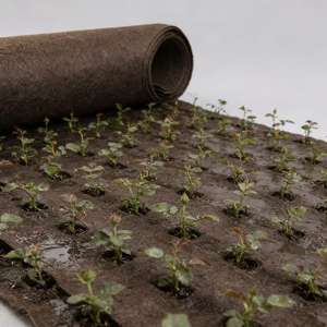 Géotextile non tissé compostable PLA Esun Supply 100-800 g/m² - Product Image 6