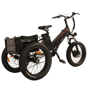 J Triciclo Electrico ที่เหยียบ Asistida Llantas Motocicleta Nippon Para 2 Adultos A Unidades Bici Dos