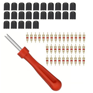 Tire Valve Core Removal And Installation Kit 61Pcs Standard British Mouth Copper Material Repair <b>Tool</b> <b>Set</b> <b>Boxed</b> - Product Image 3