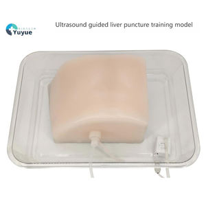 Modèle d'Enseignement Médical - Modèle de Formation à la Ponction Hépatique Guidée par Échographie - Product Image 5