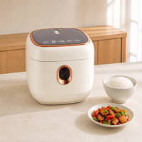 Cuisinière à riz intelligente 3L, portable, multifonction, contrôle numérique, pour autres appareils électroménagers, différentes casseroles disponibles