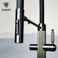 Robinet de cuisine en acier inoxydable avec douchette extractible, design moderne, filtre pour robinet de cuisine
