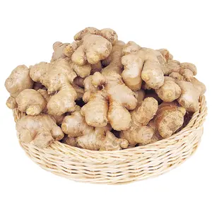 Manufacturer Fresh Air Dry Ginger Supplier Large Ginger Fat Ginger Fresh In China