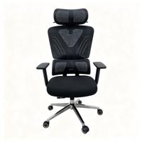 Chaise de bureau ergonomique en maille, vente en gros d'usine, avec appui-tête réglable, support lombaire, base chromée, pivotante, pour ordinateur