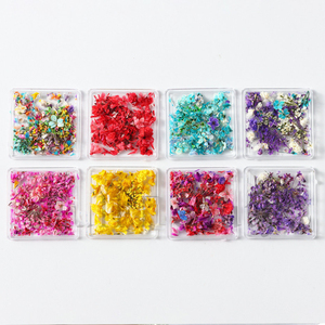 Nail Art Décorations Délicates Fleurs Séchées en 3D pour Nail Art, 1 Boîte, Accessoire de Beauté - Product Image 4