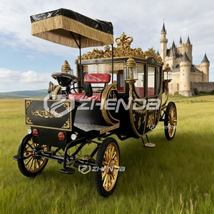 Carroza Real de Transporte Especial Eléctrica de Cuatro Ruedas de Lujo con Capacidad para 6 Personas y Neumáticos de Goma Sólida - Product Image 2