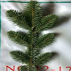 <span class=keywords><strong>Tronco</strong></span> <span class=keywords><strong>de</strong></span> Árbol <span class=keywords><strong>de</strong></span> Navidad Nordmann Ultra Deluxe <span class=keywords><strong>de</strong></span> 6 pies con Aspecto Natural, Luces LED Blancas Cálidas, Clasificación IP44, Alimentación por CC - Product Image 4