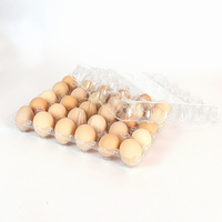Boîte à œufs en plastique PET transparente Plateaux à œufs en plastique pour 30 œufs