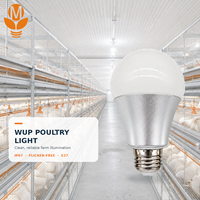Proveedor OEM ODM de Lámparas LED para Aves de Corral, Bombilla Regulable IP67 Sin Parpadeo para Granjas Avícolas, Proyectos de Pollos de Engorde, Ponedoras y Reproductoras