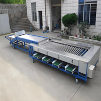 Groenten En Fruit Sorteermachine Avocado Fruit Sorteren Kalibrerende Machine Fruit Maat Klasse Machine Gemaakt In China
