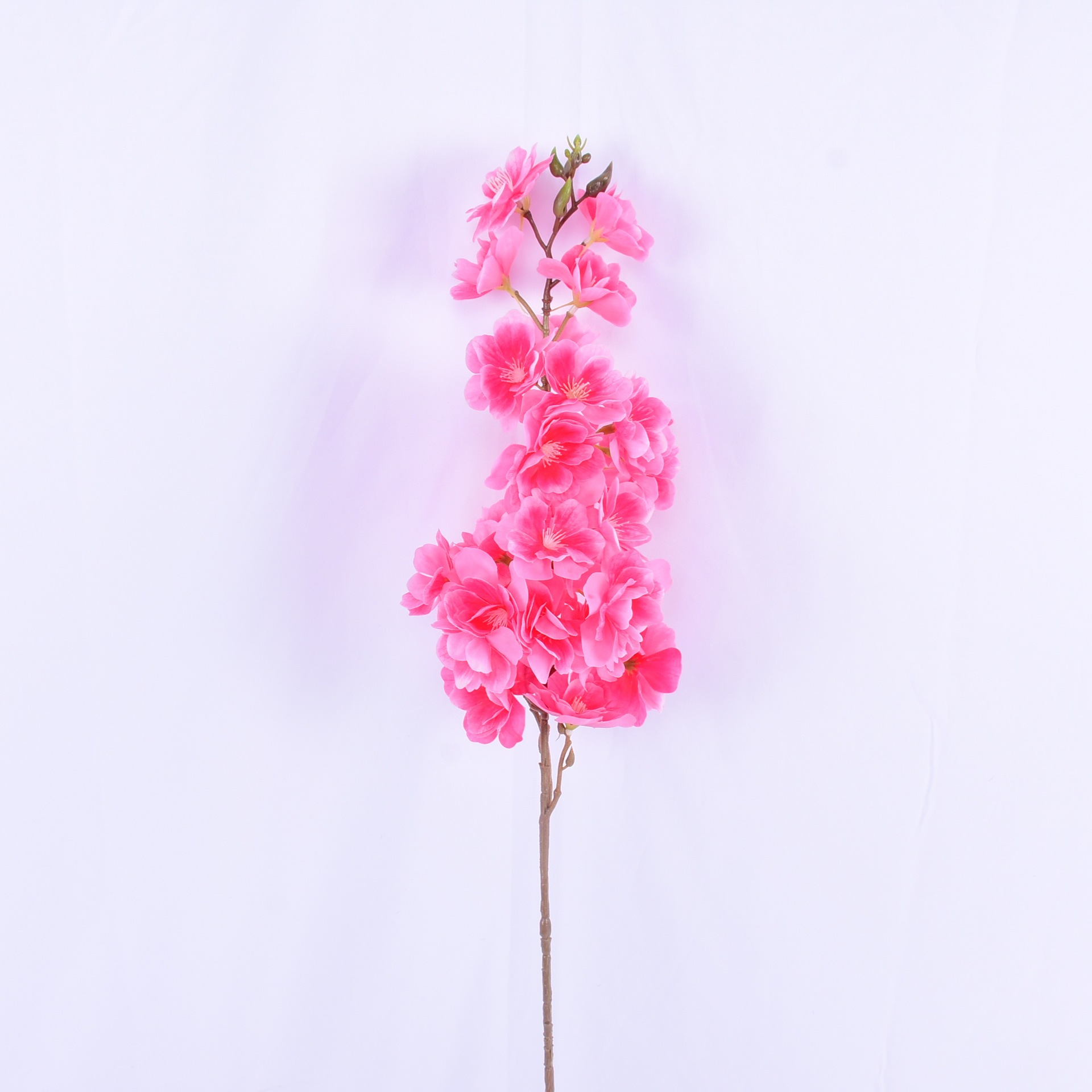 rose foncé