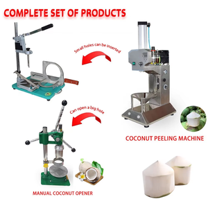 Máquina de Procesamiento de Coco de Alta Calidad en Acero Inoxidable 304, Peladora y Cortadora de Coco Verde Joven, Fácil de Usar - Product Image 5