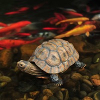 Sculpture réaliste de tortue en résine - Décoration pour bassin de jardin et objet de collection pour reptiles - Fabrication artisanale, OEM, vente en gros, directement de l'usine
