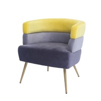 Ensemble de meubles de salon modernes et luxueux chaises d'appoint de designer en velours pour la maison et les villas élégantes et funky royal