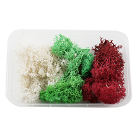 Paquet de matériel mixte naturel vraies fleurs pressées à sec et plantes séchées pétale pour bricolage résine bougies à ongles bijoux artisanat