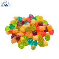 Groothandel Bulk Op Maat Gemaakte Kauwbare Fruitige Lekkere Pittige Sappige Zoete Gummy IJsjes Vormpjes Snoep Meerkleurig Snoep Mount