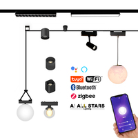 Luz de pista de mejor precio, colgante de techo lineal Led magnético, luces de bola de tubo magnético, 2 rieles de alambre, pista magnética ultradelgada