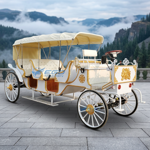 Carroza Eléctrica al Por Mayor a Precio de Fábrica - Ideal para Parques Temáticos, Bodas y Turismo - Product Image 1