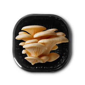 Plateau d'emballage de champignons frais Récipient en plastique PET transparent pour bouton Shiitake et champignon d'huître - Product Image 3