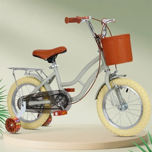 Vélo de princesse pour filles certifié <span class=keywords><strong>CPC</strong></span>, 12-18 pouces, vente en gros OEM ODM, vélo rétro pour enfants avec roues d'apprentissage lumineuses - Product Image 4