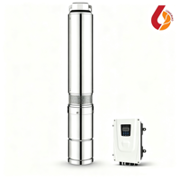 Pompe centrifuge solaire submersible en acier inoxydable de 4 pouces à grande puissance pour l'approvisionnement en eau hors réseau des villages