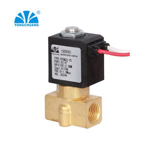 Yongchuang Solenoid Valve YCSM21 25 G1 4 DC24V For Sterilization - Product Image 1