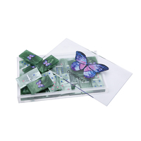 Jeu de dominos en acrylique personnalisé avec impression sur mesure, 28 tuiles de jeu avec boîte de rangement transparente, jeu de société OEM/ODM