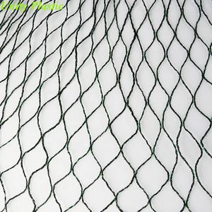 <span class=keywords><strong>Filet</strong></span> de brouillard 12x100m Invisible <span class=keywords><strong>vert</strong></span> Hdpe <span class=keywords><strong>Anti</strong></span> Bird Net Wineyard Bird Mist Nets pour l'agriculture - Product Image 4