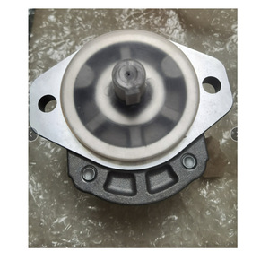 Bomba de engranajes Casappa KP30.43D0-A8K9-LMD/GC/GE/B-N-LN-80R, bomba hidráulica rotativa de 1 etapa, fabricada en Italia. - Product Image 4