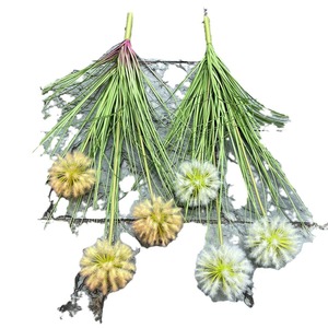 8 têtes échinacée oignon herbe plastique souple arbres PE jetable mariage maison hôtel décor Simulation roseau herbe plante artificielle - Product Image 5