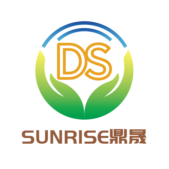 Dingsheng Paper Plastic Packaging (Shandong) Co., Ltd. logo