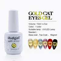 Ibdgel Cat Eye Gel Super Silver Spar Gel OEM/ODM Cat Kuku Gel Magnet Gratis Sampel Gel Uv