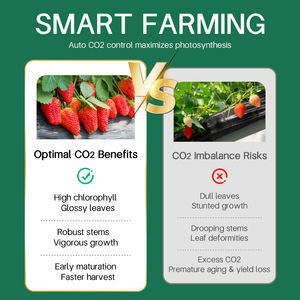 Controlador de <span class=keywords><strong>CO2</strong></span> para sala de cultivo hidropónico de invernadero con regulador de dosis Control de ventilador de ventilación Detector de gas IR Rango de 0-40000 ppm - Product Image 3