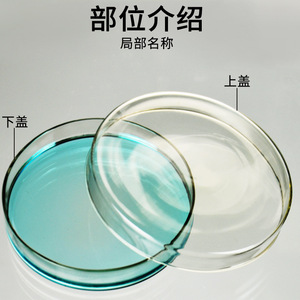 Placa de Petri de vidrio de 90 mm, placa de cultivo bacteriano de laboratorio, placa de cultivo celular, placa de Petri de vidrio borosilicato, consumibles - Product Image 3