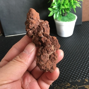 Venta al por mayor artesanías de cristal natural curación dinosaurio estiércol <span class=keywords><strong>coprolito</strong></span> petrificado para decoración del hogar y regalos - Product Image 4