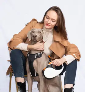 XCHO ağır ergonomik toptan arapsaçı ücretsiz köpek tasma 50 ayak 5M 3m otomatik geri çekilebilir köpek kurşun büyük köpekler için