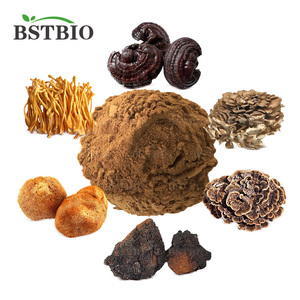 Potente Miscela in Polvere di Estratti di Funghi: Criniera di Leone, <span class=keywords><strong>Cordyceps</strong></span>, Reishi, Chaga, Coda di Tacchino, Maitake - Estratto di Alta Qualità 6 in 1 - Product Image 1