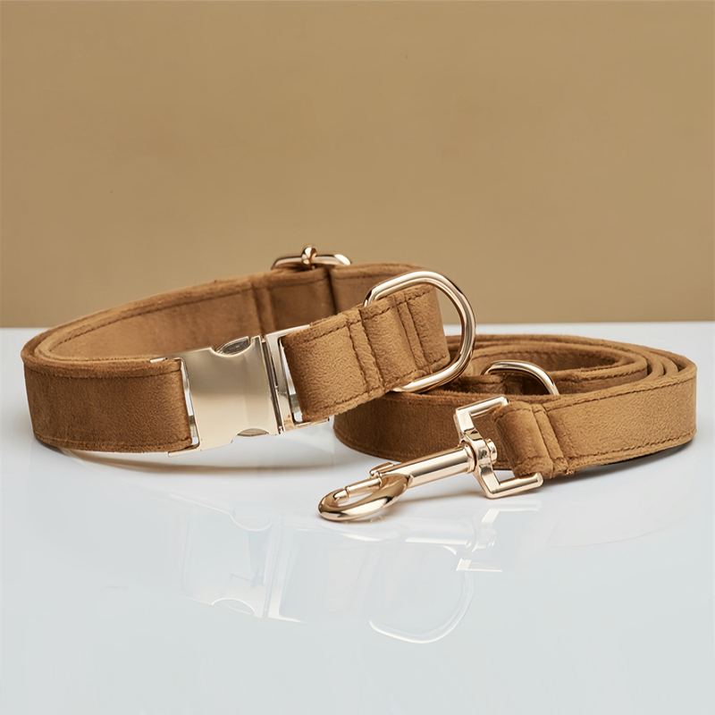 Collar de café + correa