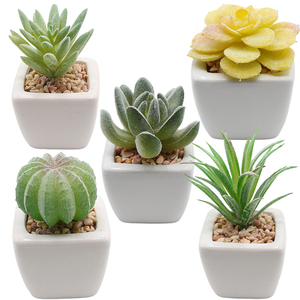 DIY Nordic Style Mini Small Plastic Artificial Faux Mix Green Plant Bonsai Snake ceramic succulent pot
