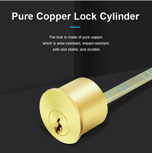 अभिगम नियंत्रण के लिए वियन उच्च गुणवत्ता वाले इलेक्ट्रॉनिक रिम लॉक - Product Image 5