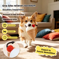 Jouet en peluche interactif personnalisé en forme de crème glacée pour animaux de compagnie, doux, pour chien et chat, à mâcher et câliner