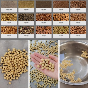 Machine à fabriquer des granulés d'aliments pour poissons, extrudeuse d'aliments pour animaux de compagnie (chiens et chats), machines de transformation d'aliments pour animaux de compagnie, fournisseur de pointe - Product Image 3