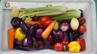 WA-1000 Hogedrukspuitreinigingsmachine voor het wassen van fruit en groenten