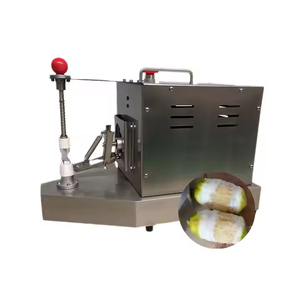 Éplucheur de légumes et de fruits motorisé professionnel 380V/tension personnalisable, acier inoxydable 304, facile à utiliser, garantie 1 an - Product Image 2